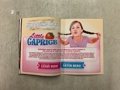 Caprice Owner's Manual  (Second Edition)