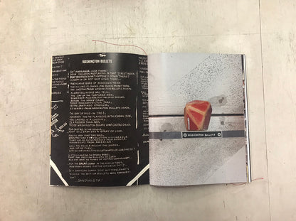 Sengoku/Sandinista Zine