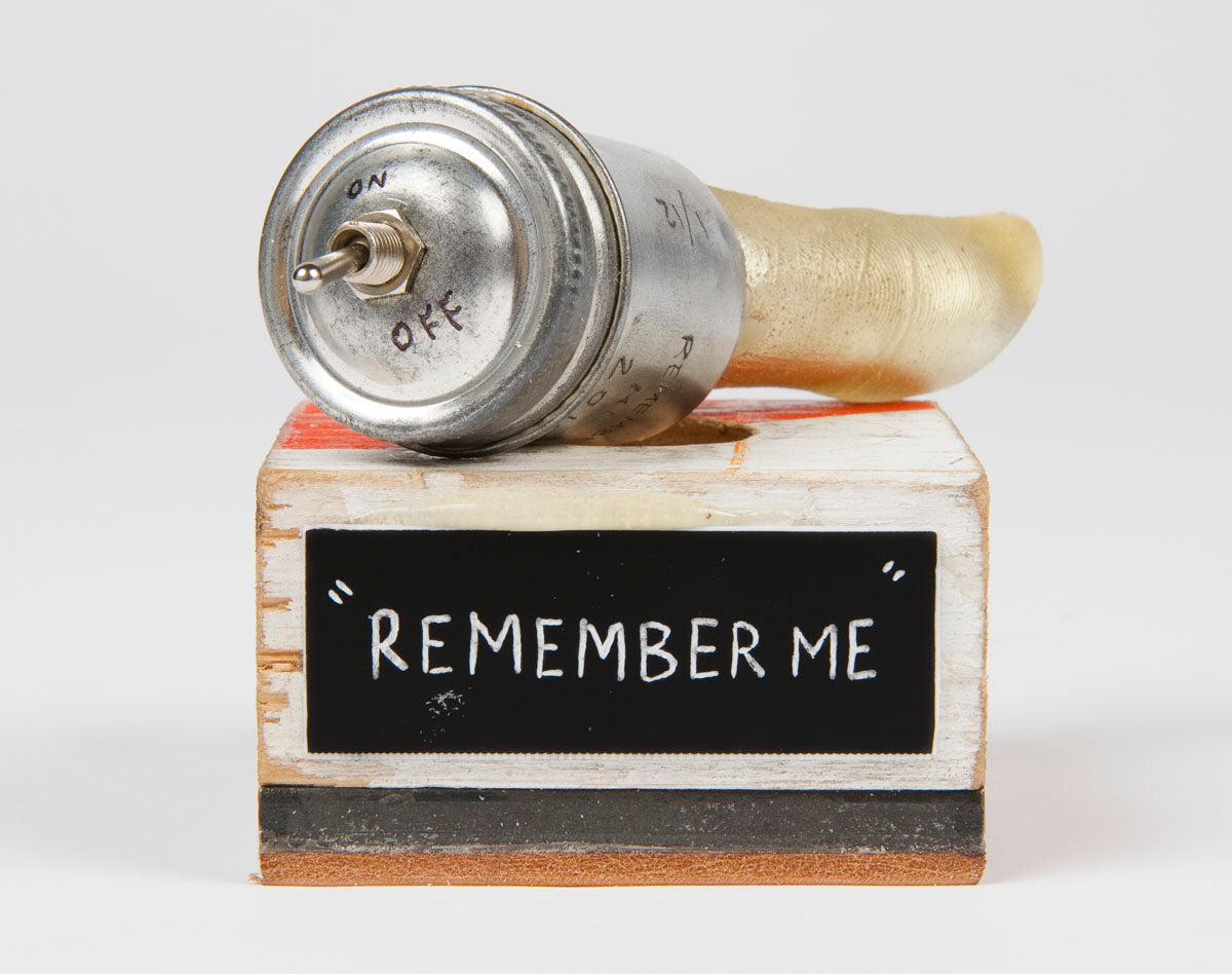 Remember Me Vibrator