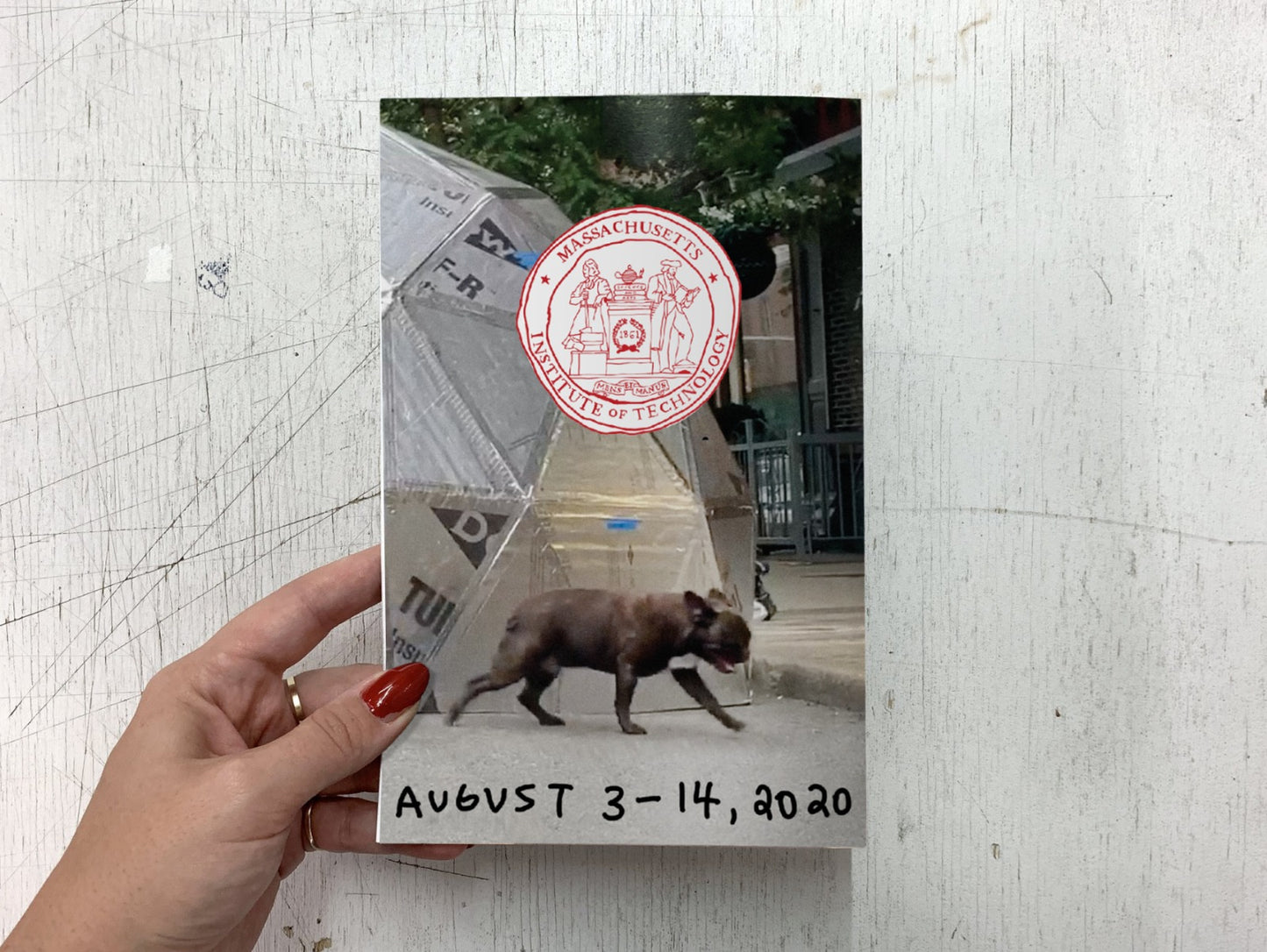 How to Build a Geodesic Dome Zine