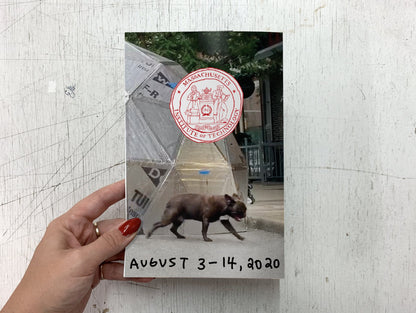 How to Build a Geodesic Dome Zine