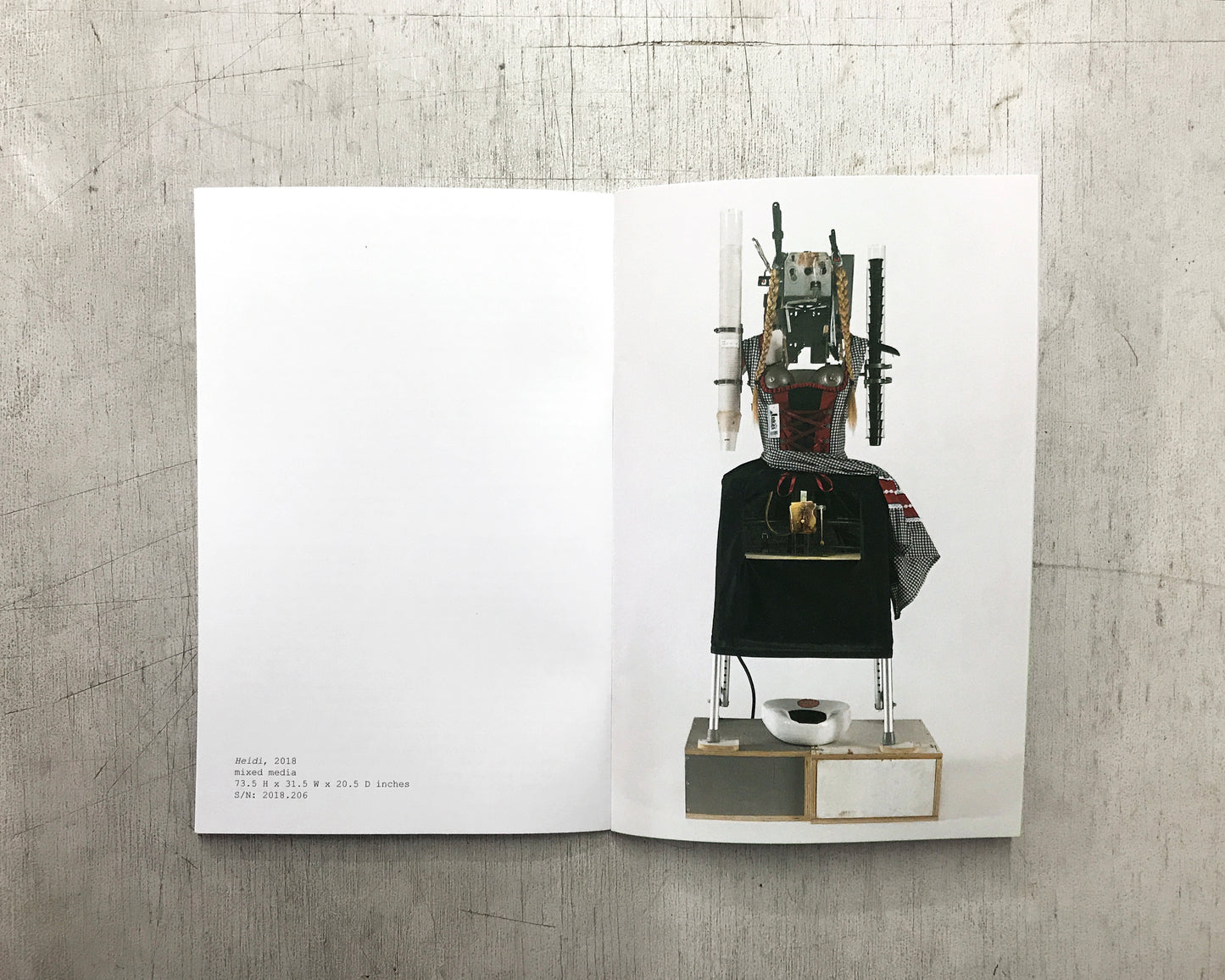 Heidi & The Pack Zine